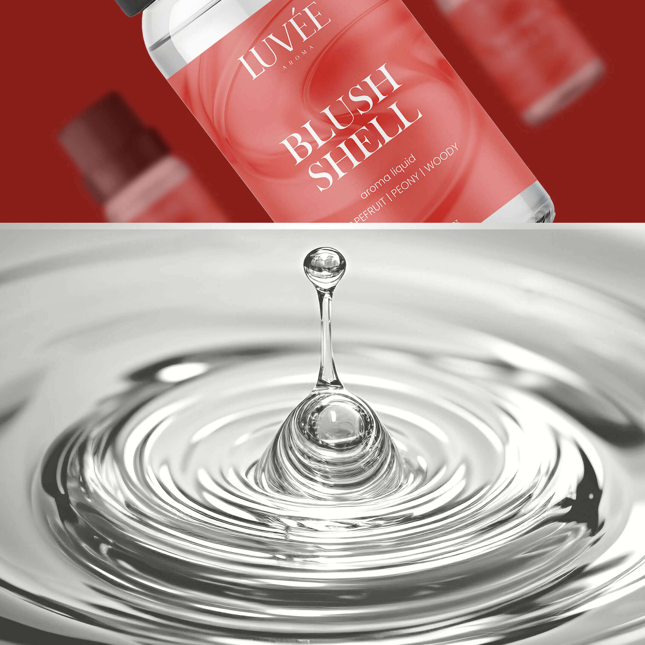 Blush Shell - Relaxing & Luxurious Mood - Aroma Oil for Diffusers
