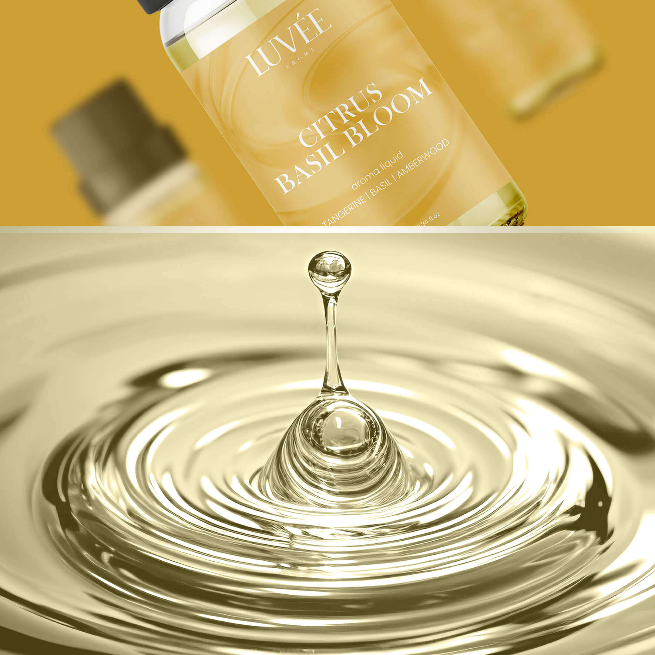 Citrus Basil Bloom - Energizing & Uplifting Mood - Aroma Oil for Diffusers